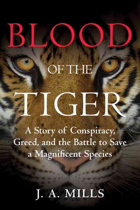 Big Cats